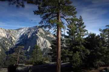 us california idyllwild pine cove 43695 20201207080814000000000 1200x630 3 41607338844